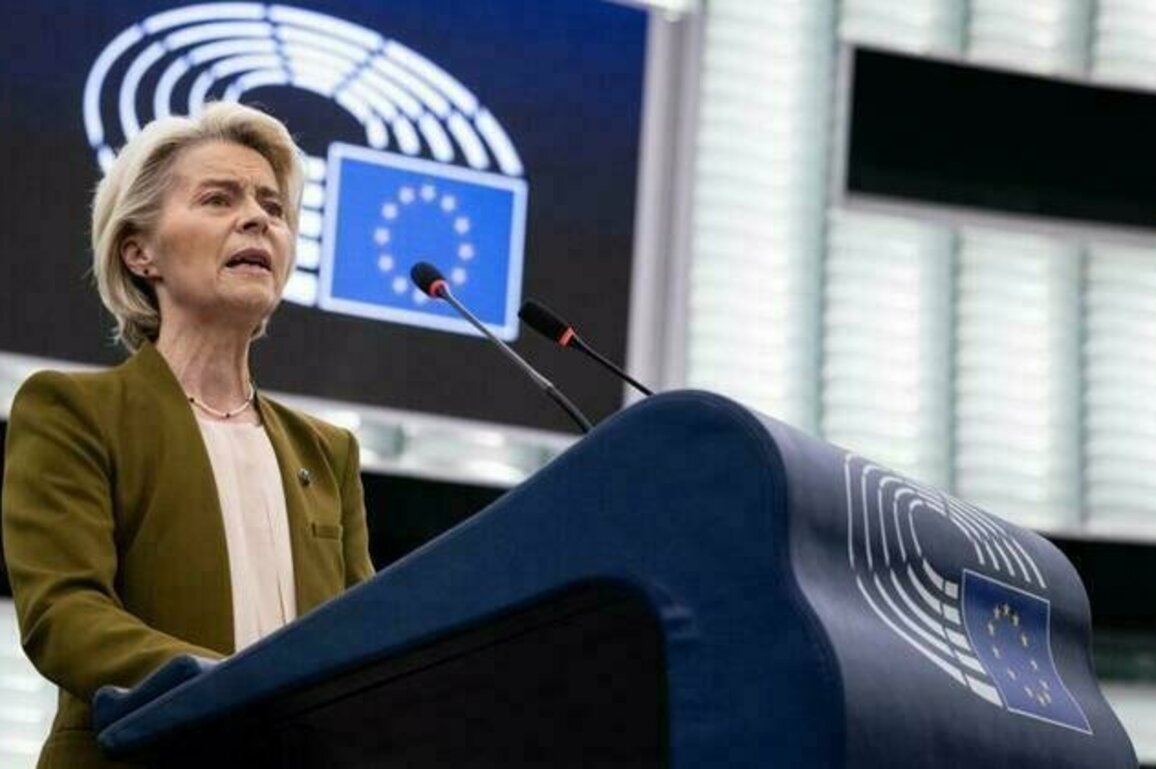 Von der Leyen calls on EU to defend role in 'hostile' world