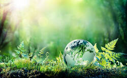 Green bond guidelines most widely adopted sustainable finance tool in 'myriad' of ESG rules