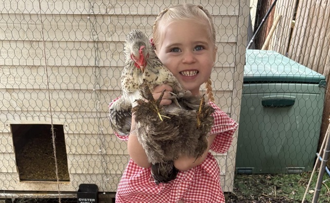 4-year-old Maisie with her chickens 