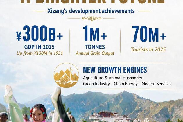 Poster | Xizang's Historic Progress in Numbers