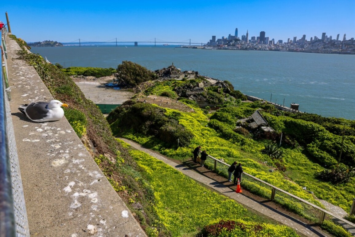 Trump's Alcatraz plan would have to clear environmental hurdles