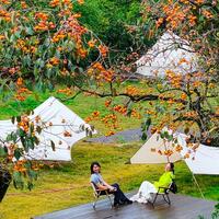 Camping boom ignites outdoor industry growth across China