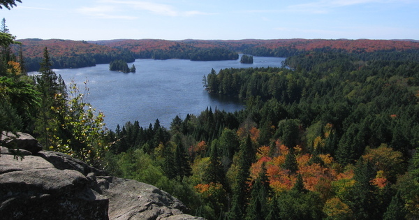McFarlane Lake raises $6.8M investment