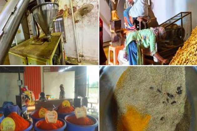 Telangana food safety authorities crack down on contaminated spices in Hyderabad and Rangareddy