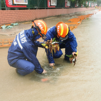 CHINA-GUANGDONG-SHANWEI-TYPHOON MITAG (CN)
