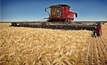 Australia's farm production forecast to top $60 billion