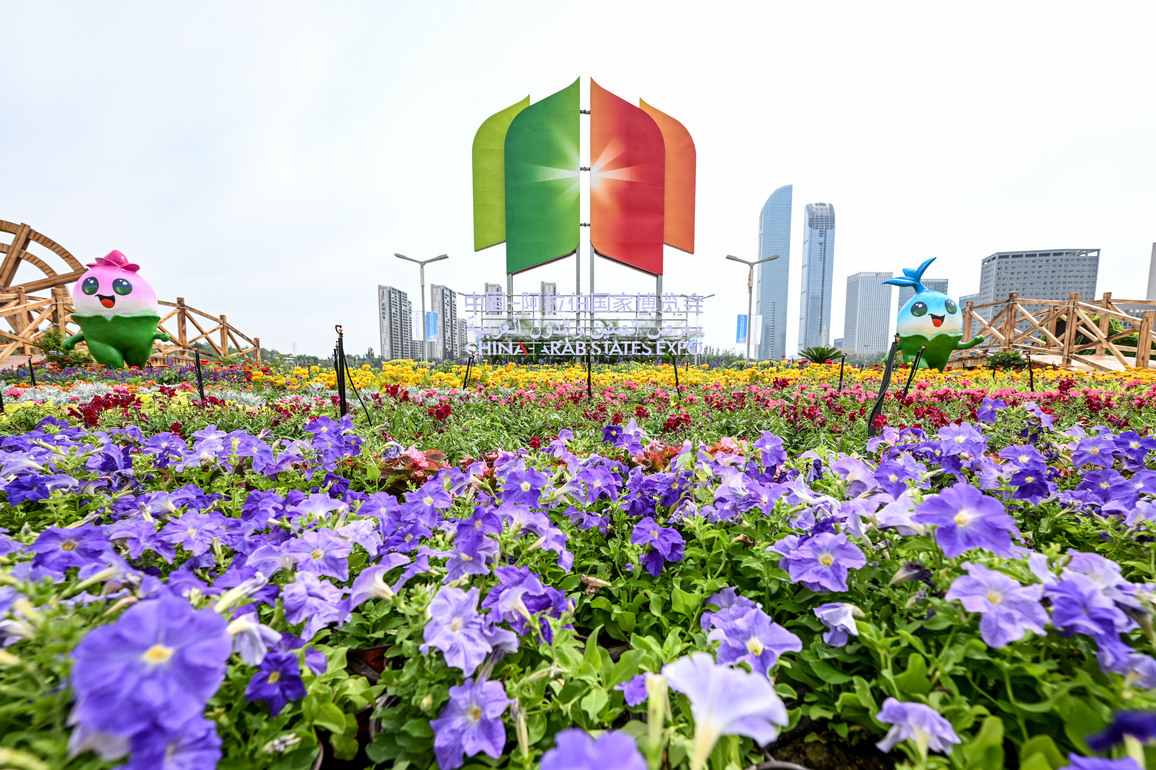 (VistaNingxia) CHINA-NINGXIA-YINCHUAN-CHINA-ARAB STATES EXPO-OPEN (CN)
