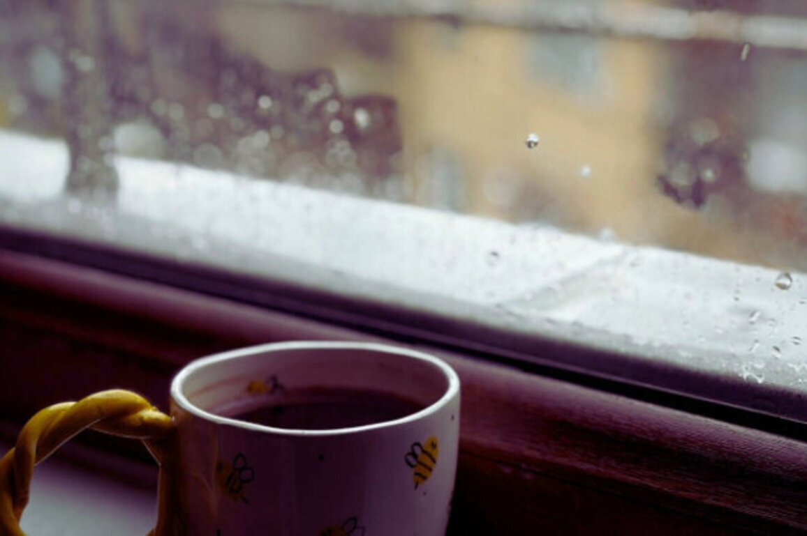 Bulgaria to See Rain, Snow, and Strong Winds on Friday