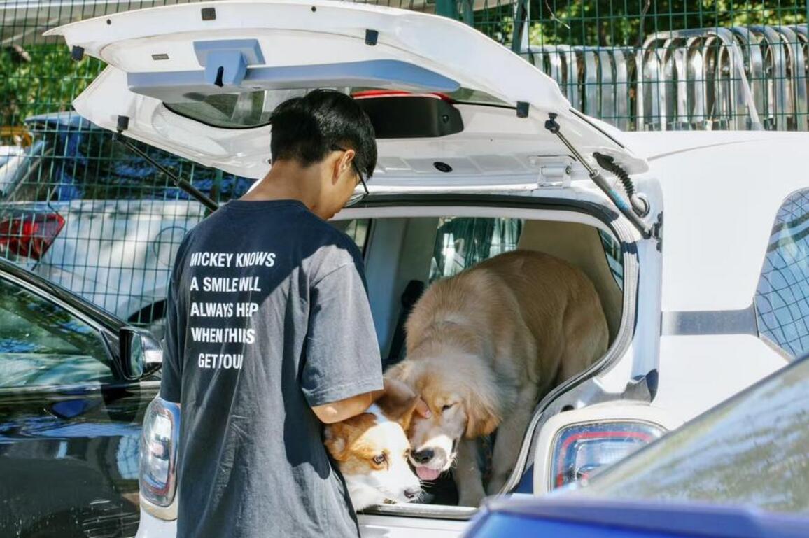 Pets experience healing touch of traditional Chinese medicine
