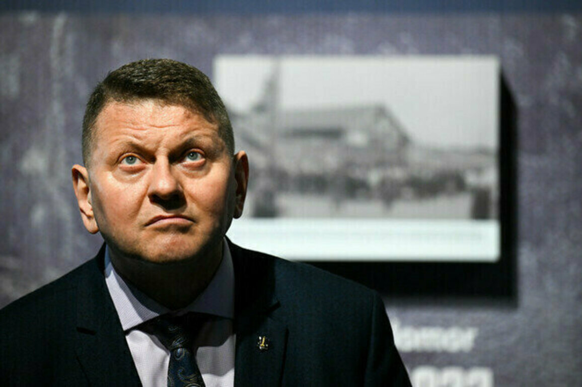 Ex-Ukrainian Army chief laments cost of Kursk incursion