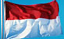 Vista likes look of Indonesia