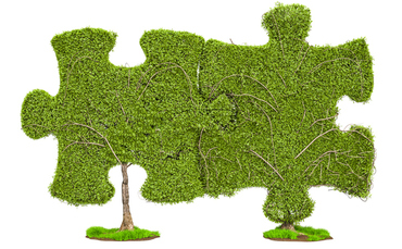 Managed print reseller XBM acquires iDOC to boost sustainability credentials - Vimarsana News