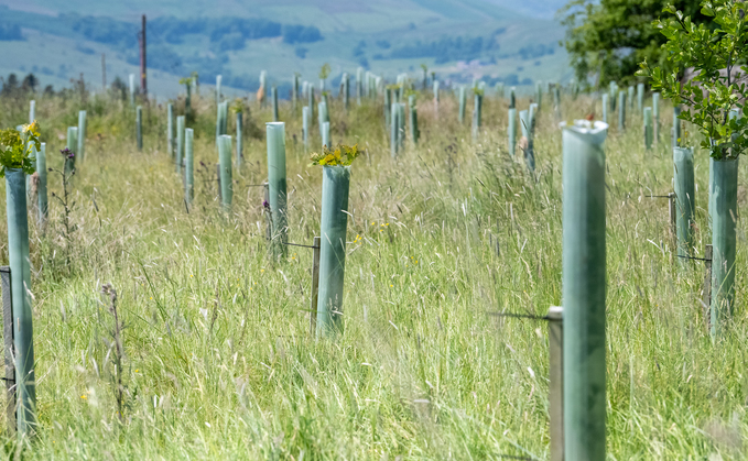 Figures from Forest Research suggest that England risks missing its tree planting targets