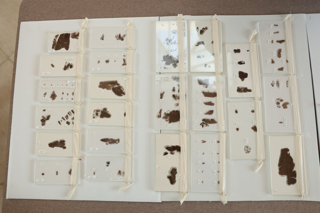 PhotoFlash | U.S. museum returns to China ancient silk manuscripts from Warring States period
