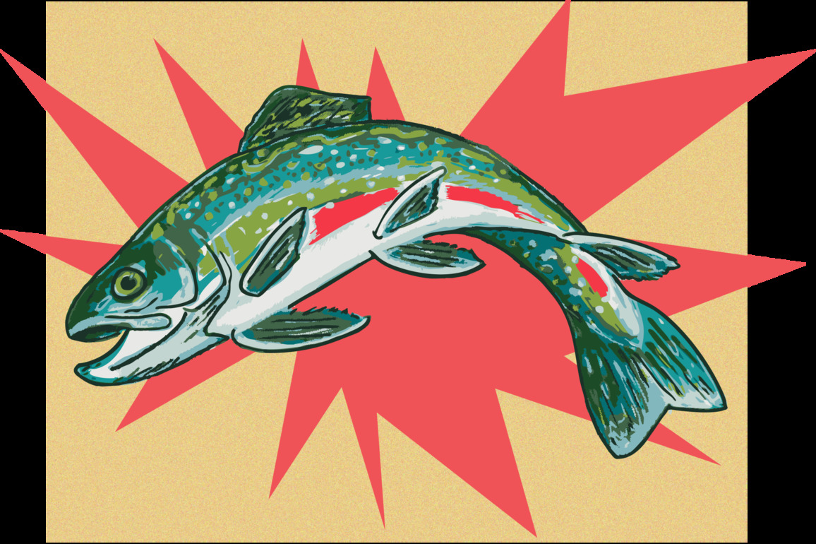 Opinion- An Informed Angler is a Sustainable One