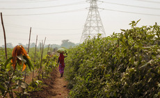 Sequoia, Tiger, Alpha Wave invest $100m in India agtech player