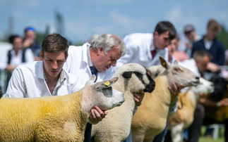 Chaileybrook Killer Queen takes the Three Counties Show crown 