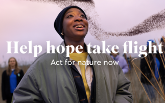 Not just 'the bird charity': RSPB launches new campaign to inspire action on nature protection