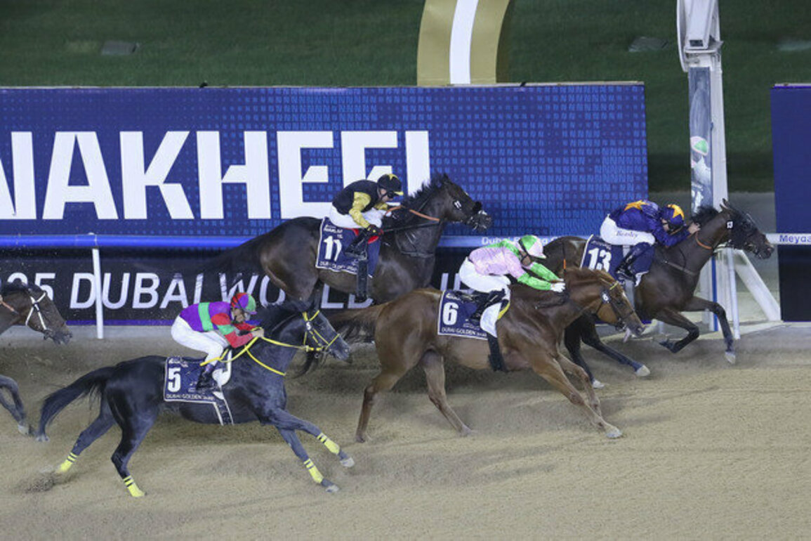Dubai World Cup: Dark Saffron makes history in Dubai Golden Shaheen
