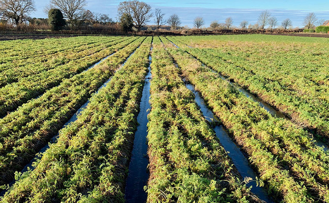Growers to trigger formal ballot on 'outdated and unwanted' AHDB levy