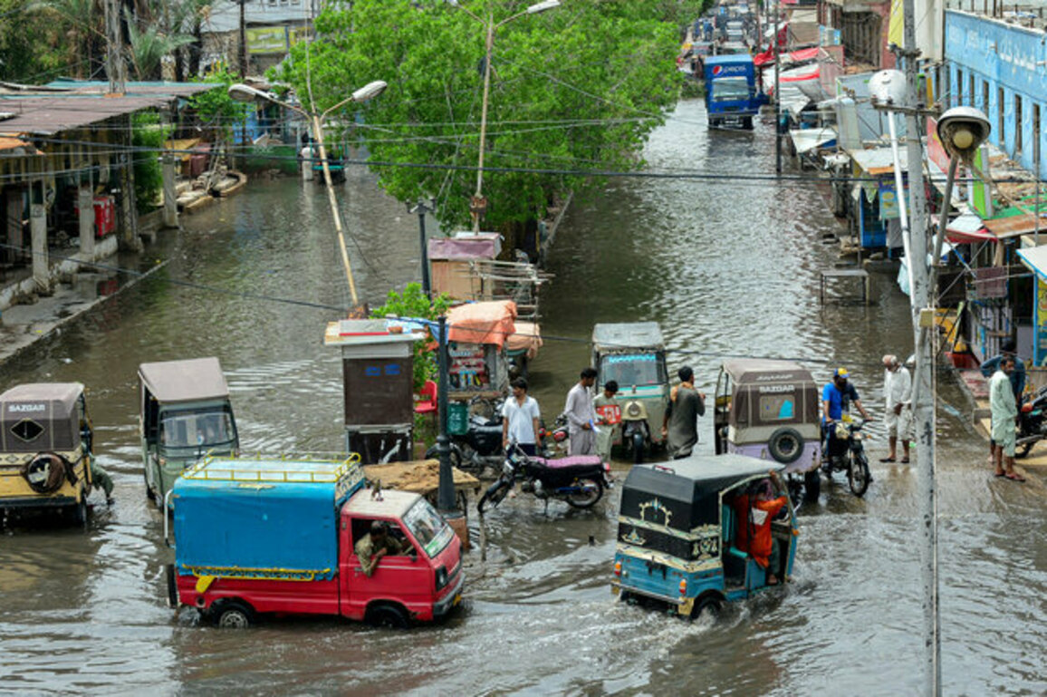 Pakistan rains death toll rises to 203