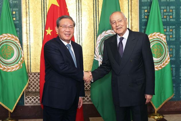 China voices support for Arab nations' unity, development -- premier