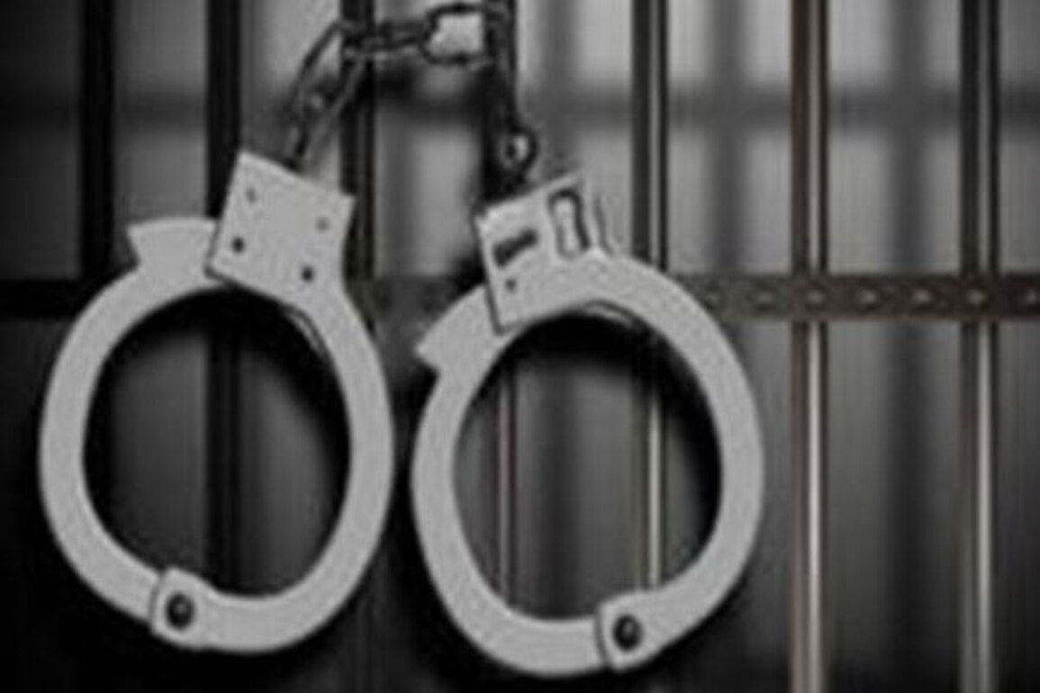 Nigerian illegal immigrant detained; deportation underway: FRRO to Delhi HC