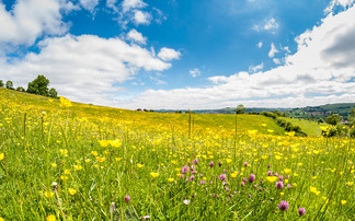 Rewilding project sparks outrage from farmers