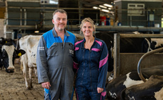 Brown Swiss and Holsteins milking in harmony on Staffordshire dairy farm