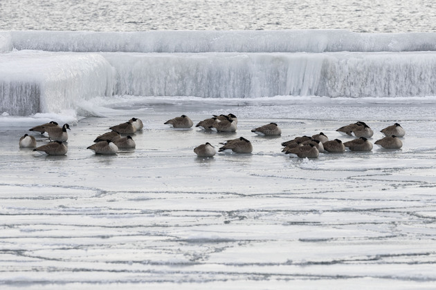 CANADA-TORONTO-EXTREME COLD WARNING