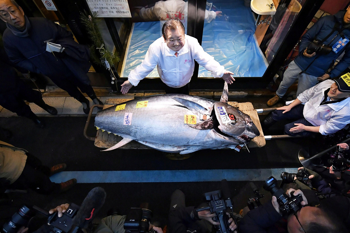 Japan: Bluefin tuna fetches record USD 3.2 million in Tokyo's fish market at New Year auction