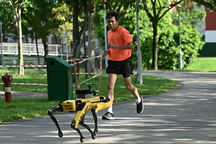   n this file photo taken on ay 8 2020 a man jogs past a fourlegged robot called pot which broadcasts a recorded message reminding people to observe safe distancing as a preventive measure against the spread of the 19 coronavirus during its twoweek trial at the ishanng oh io ark in ingapore   yellow robot dog called pot which found fame online for dancing to hit song ptown unk has been deployed to patrol a ingapore park and ensure people observe social distancing hoto by oslan   