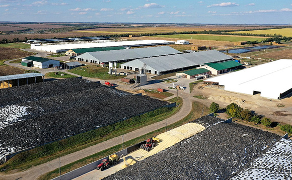 Large Ukrainian dairy farm battles to survive