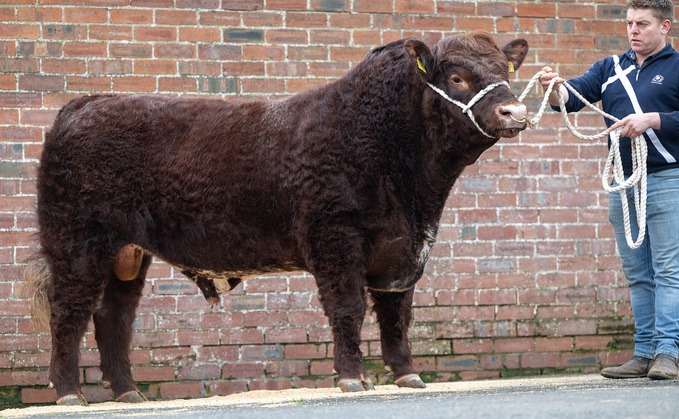 Nunnerie Daer, 25,000gns