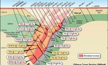 Cross section of the Gilbey's Main Zone