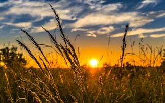 Farmers need to work with nature to help 'turn the tide' 