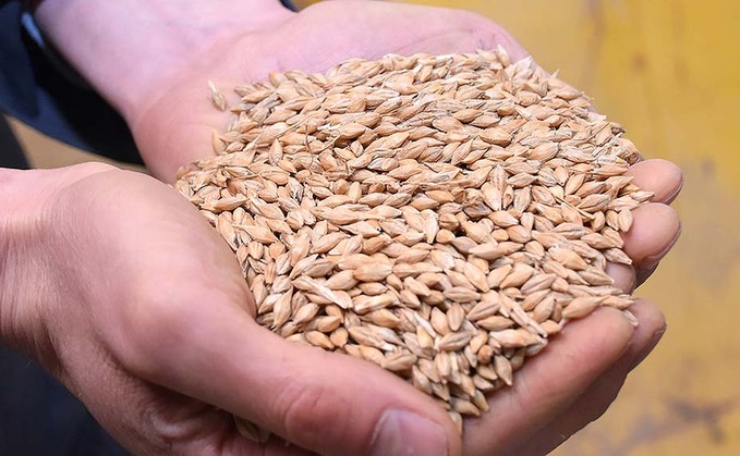 Top tips for safe and efficient grain sampling this harvest