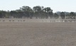  The WA Government is establishing a taskforce to support farmers experiencing dry conditions. Credit: Mark Saunders.