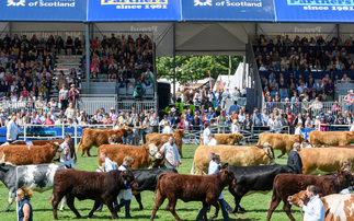 'Bizarre and irrelevant' – Peta criticised for Royal Highland Show livestock parade demands