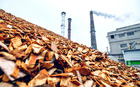 Earth Capital merges four assets to form bioenergy plant SEHL
