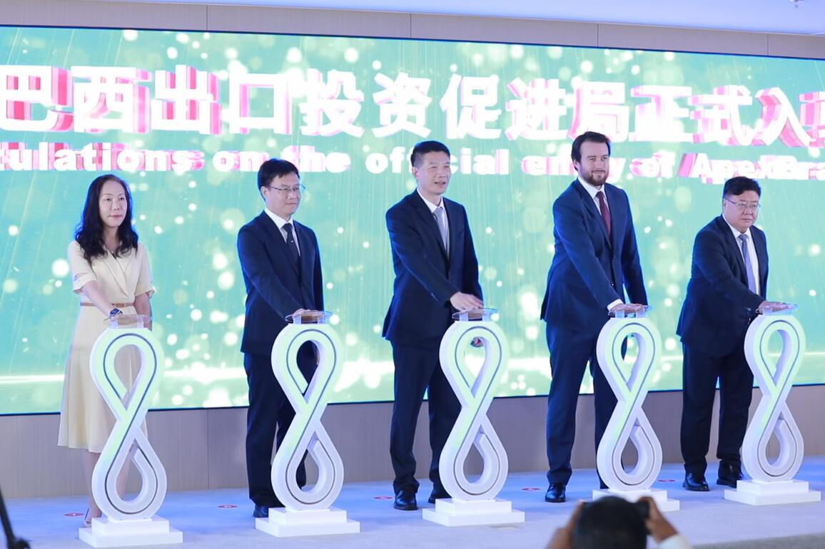 Green tech, smart manufacturing drive BRICS industrial cooperation