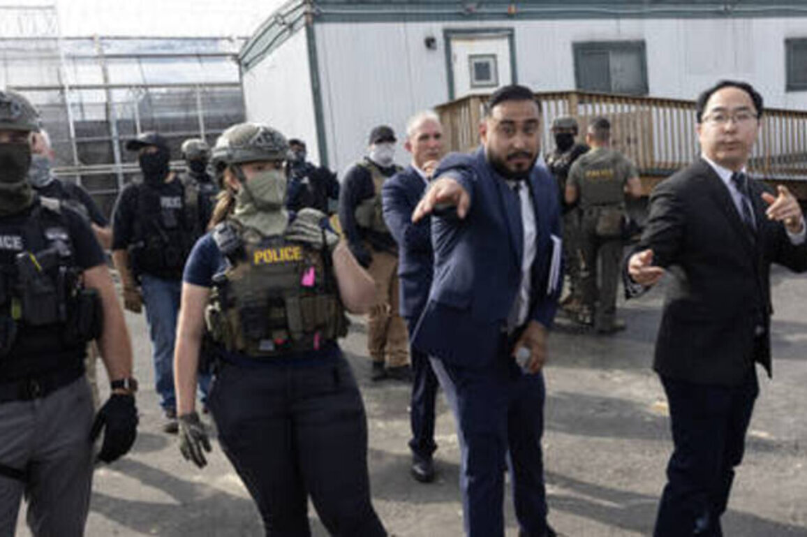 WATCH tear gas deployed as ICE agents clash with protesters