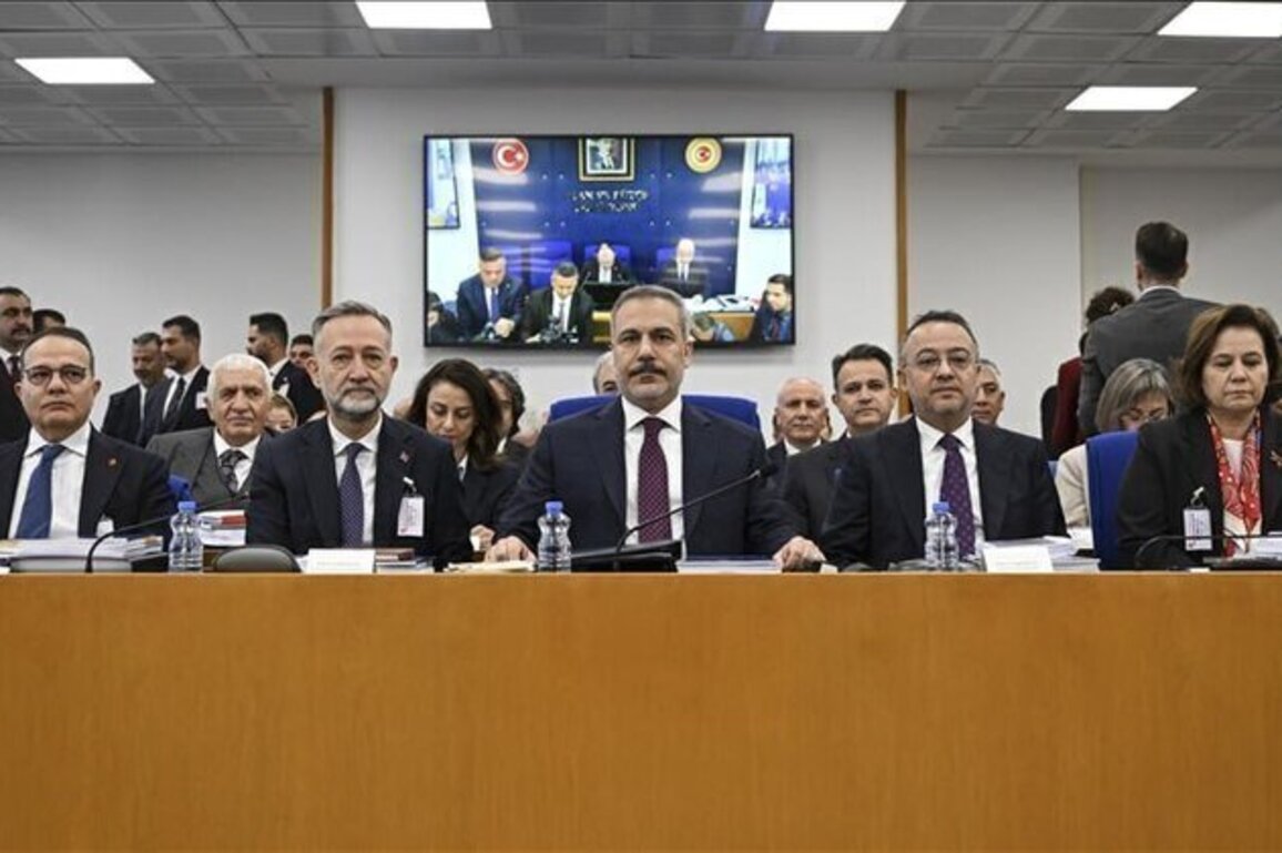 Syrias stability, Ankaras priority- Fidan says