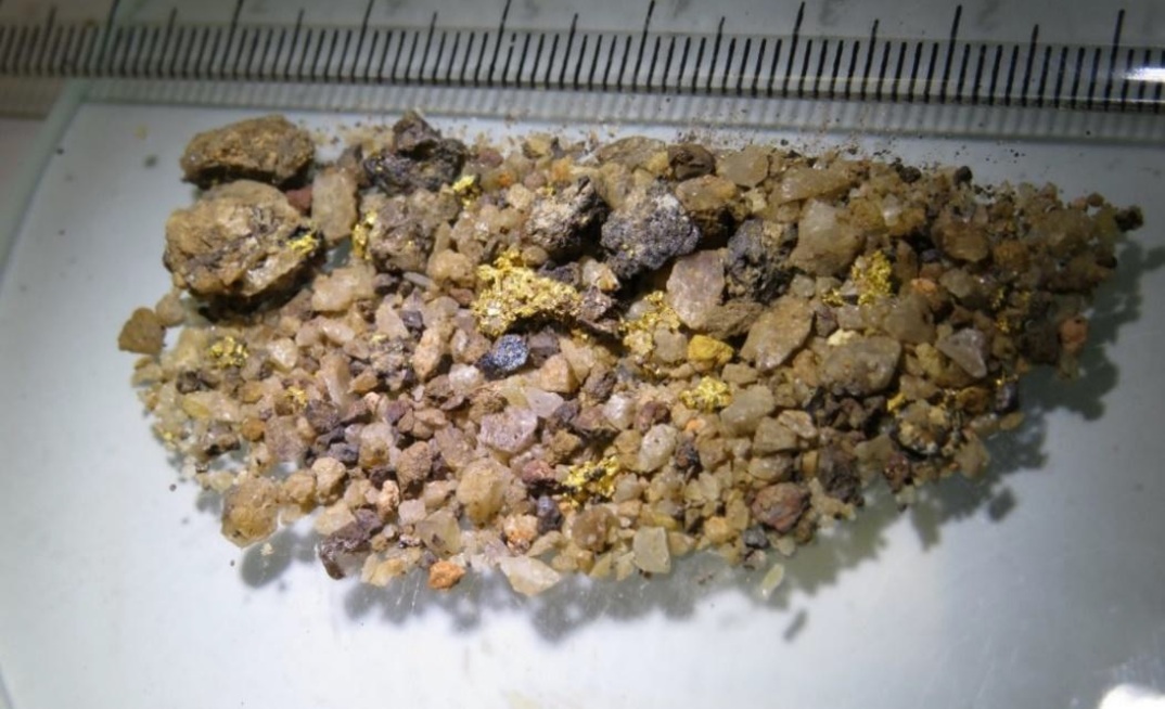 Visible gold from drill chips