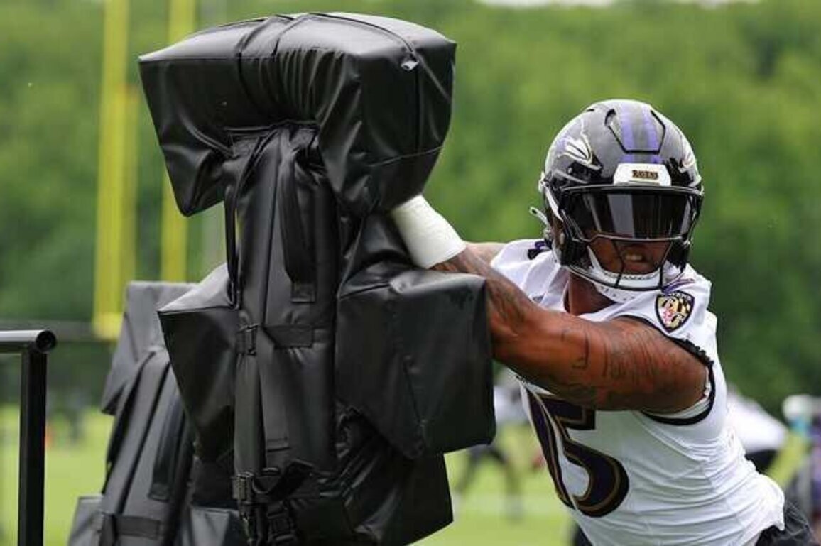 Ravens Feel Mike Green Is Close to a Double-Digit Sack Season