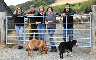 Why the Welsh Mule is the breed with no by-product in a traditional Mid Wales beef and sheep system