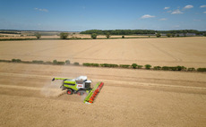 Agronomists reveal mixed cropping potential as harvest approaches