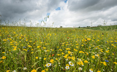 Restoring biodiversity in celebration of the King's coronation