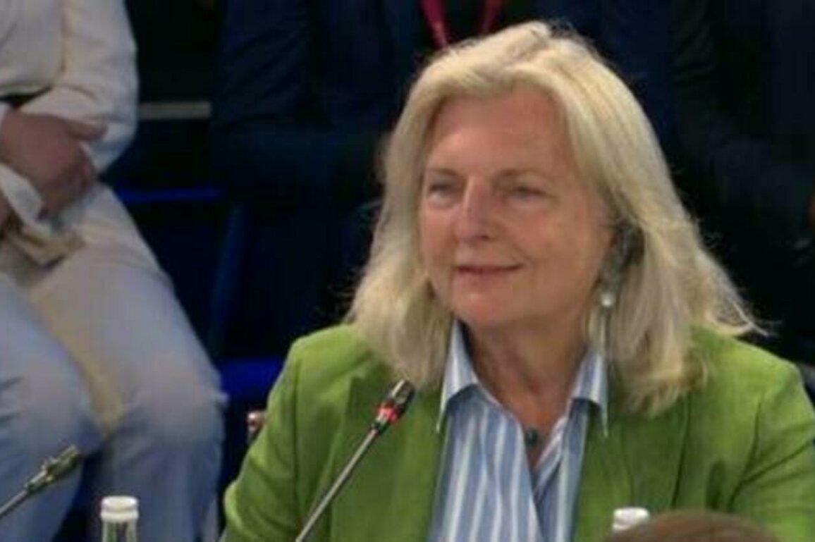 Ex-Austrian FM tells Russians to drop romantic notions about Western Europe