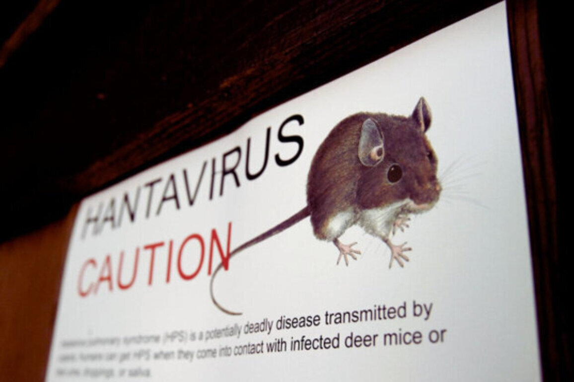 WHO Reports Suspected Hantavirus Outbreak on Cruise Ship, 3 Dead